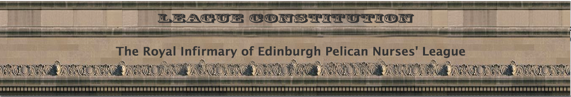 constitution banner